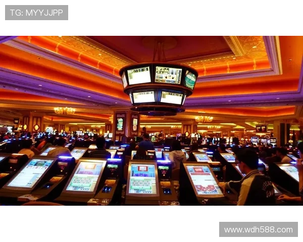 探索百利宫赌场平台的游戏种类与特色体验